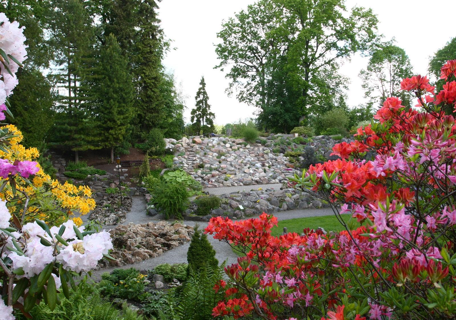 Tartu Ülikooli botaanikaaed