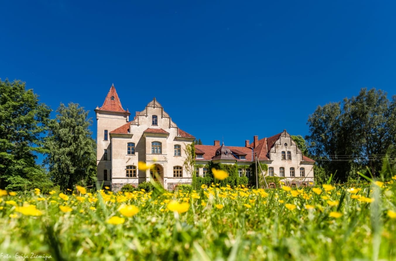 A historic manor building with a light facade, decorative gables, a tower section and a red tiled roof. In the foreground there is a flowering meadow with yellow flowers, on both sides of the